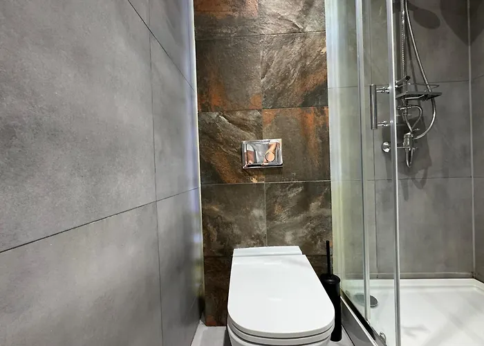 Apartament Zabrsaint High Five