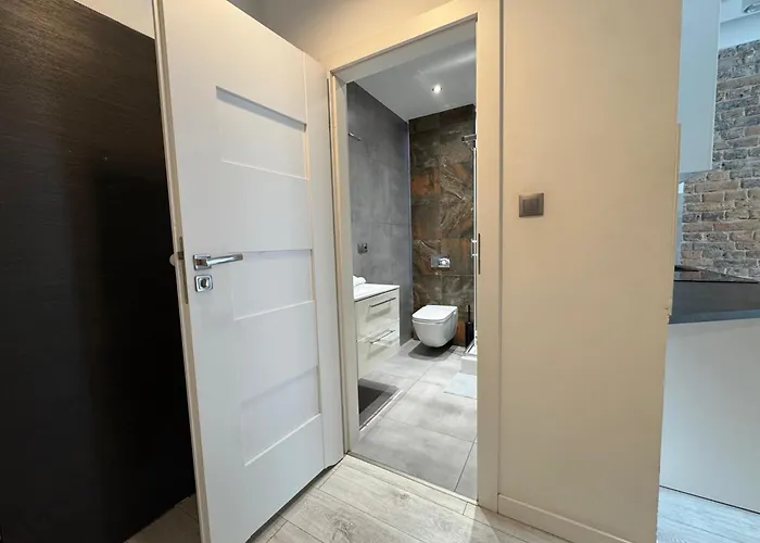 Zabrsaint High Five *