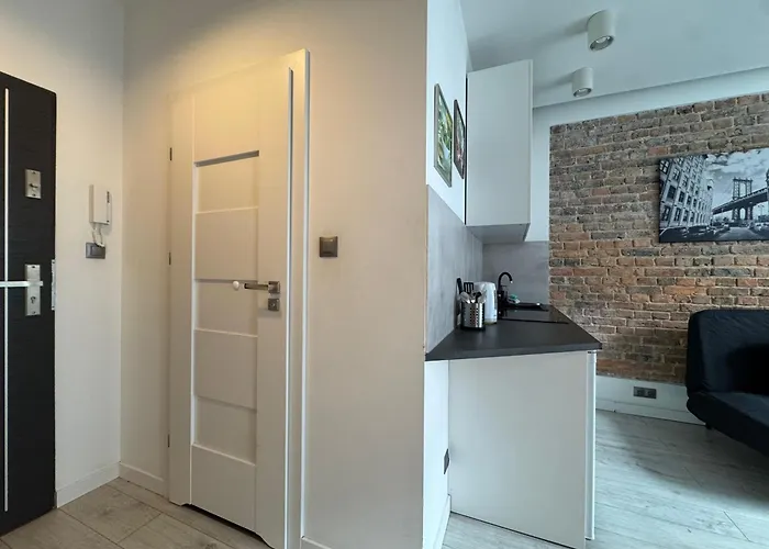 Zabrsaint High Five * Katowice