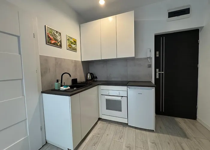 Zabrsaint High Five * Katowice